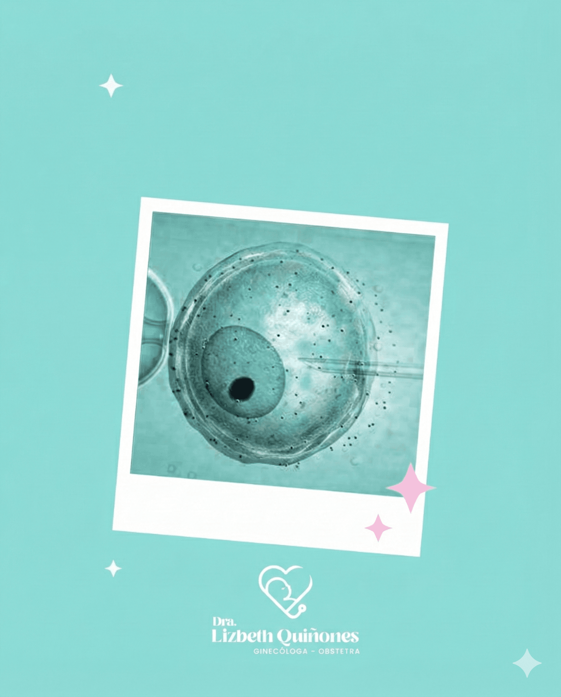 Salud Reproductiva y Climaterio